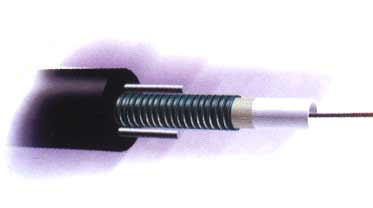 GYXTW ��������ʽ���|