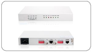 E1/ETH(GFP��)�f�h�D�Q��