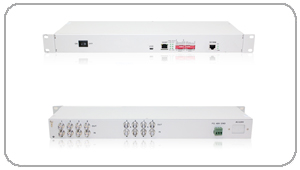 8E1/ETH(GFP��)�f�h�D�Q��