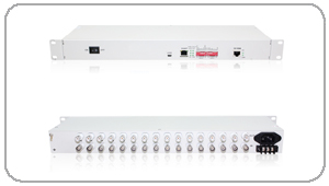 16E1/ETH(GFP��)�f�h�D�Q��